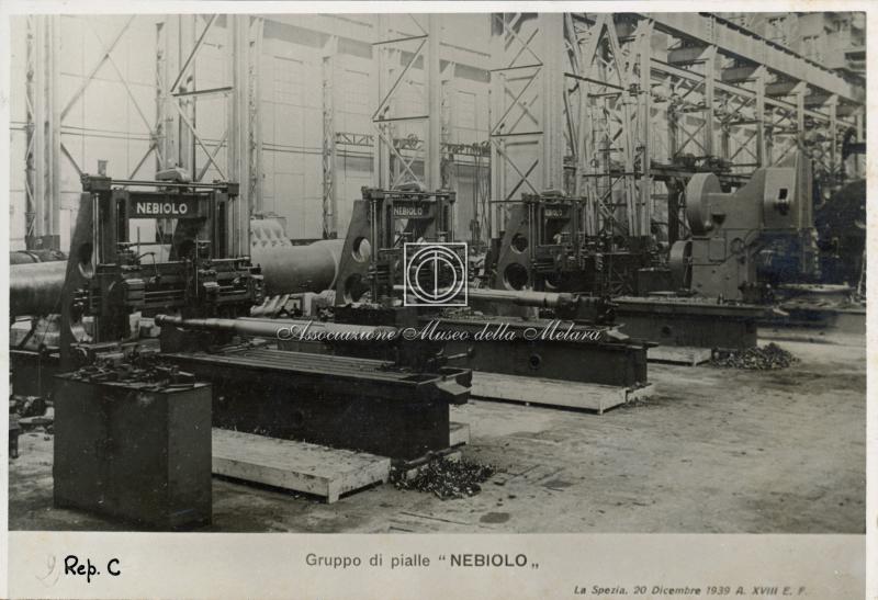 Rep C - Gruppo di pialle "Nebiolo"