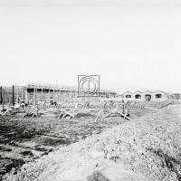 Nuovo stabilimento in costruzione
